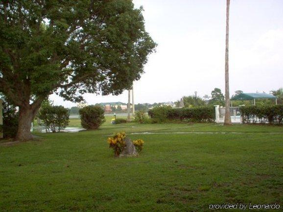 Inn On The Green Florida Tavares Tiện nghi bức ảnh
